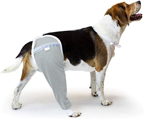 Dog Pants
