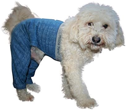 Controversial Dog Pants: A New Trend or Fashion Faux Pas?